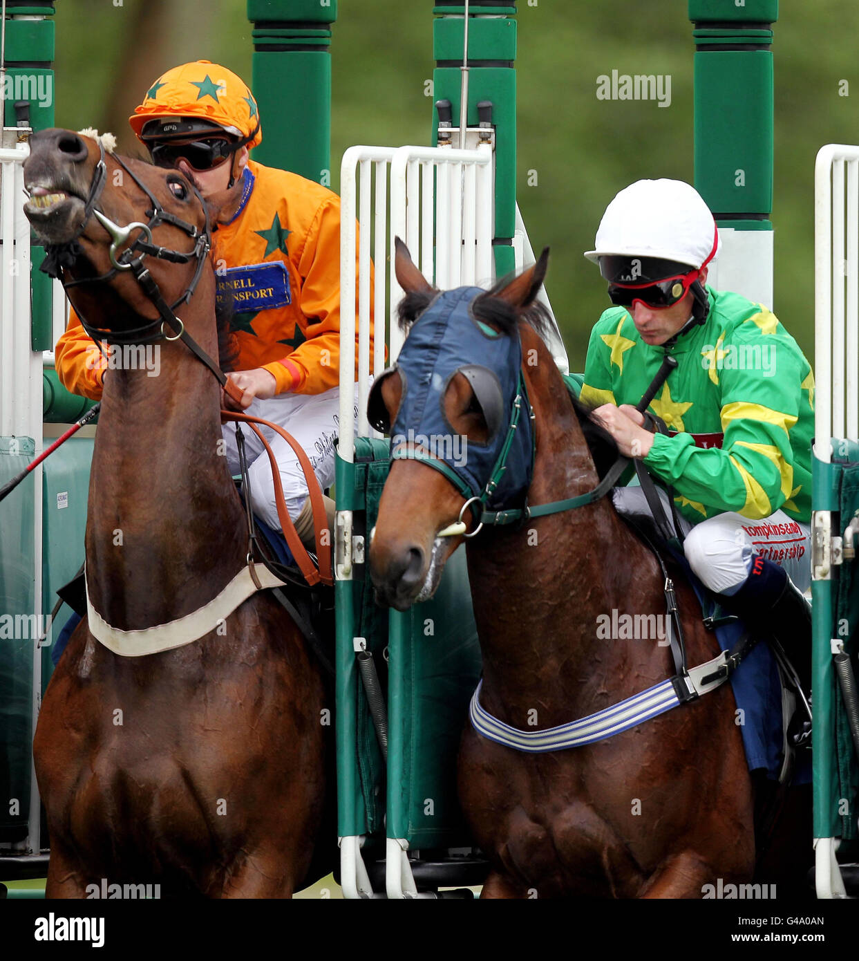 Les courses de chevaux - portée le jour de la course de bienfaisance - Newbury Raceourse Banque D'Images