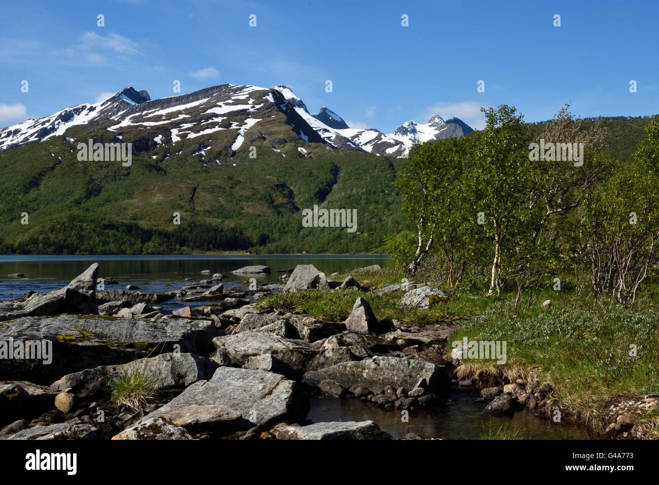 Petit ruisseau de montagne dans le Nord de la Norvège. Banque D'Images
