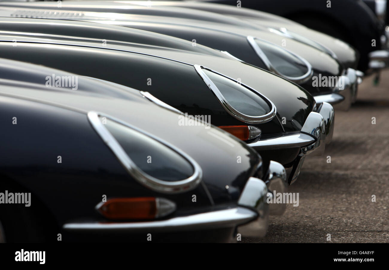 Une gamme de Jaguar de type E en exposition à Classic Motor Cars à Bridgnorth, Shropshire. Banque D'Images