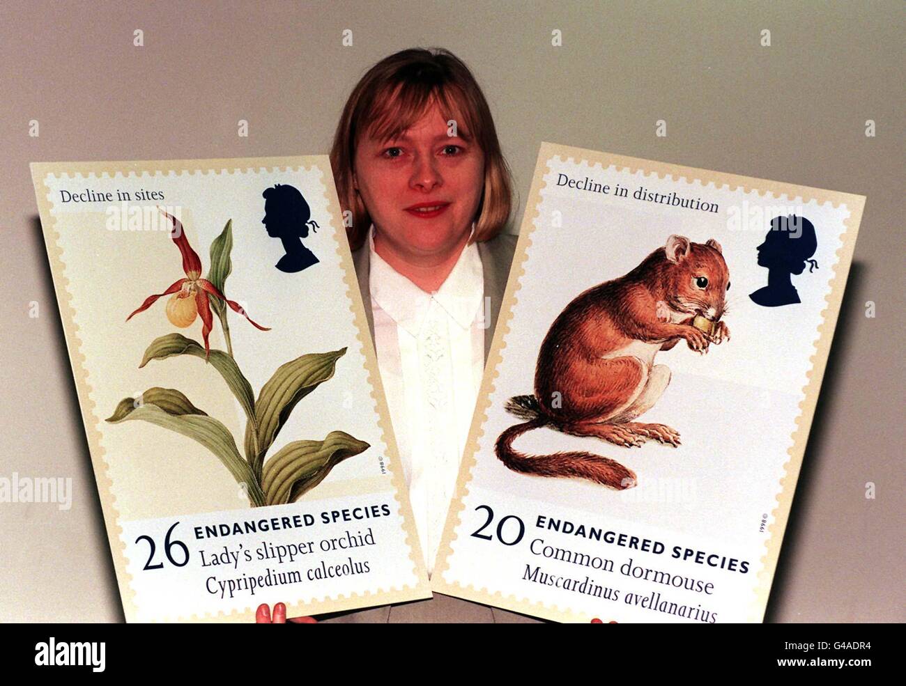 Angela Eagle, sous-secrétaire d'État au ministère de l'Environnement et des Transports, détient des versions agrandies de timbres représentant l'Orchidée de la Vierge et la souris à bec commune - deux dessins de la Collection d'espèces menacées du Royal Mail lancée aujourd'hui à Londres (mardi). Les timbres spécialement émis comprennent également la Grive de la chanson, l'escargot de la corne de la RAM de Shining, le Cricket de Mole et le champignon Bolete du Diable. Photo de John Stillwell/PA Banque D'Images