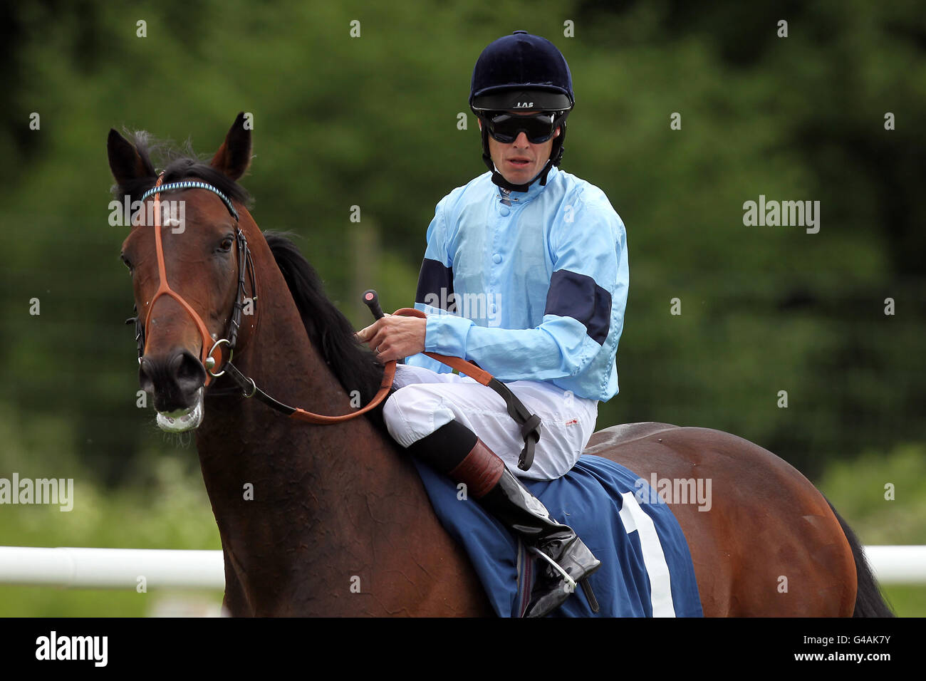 Les courses de chevaux - portée le jour de la course de bienfaisance - Newbury Banque D'Images