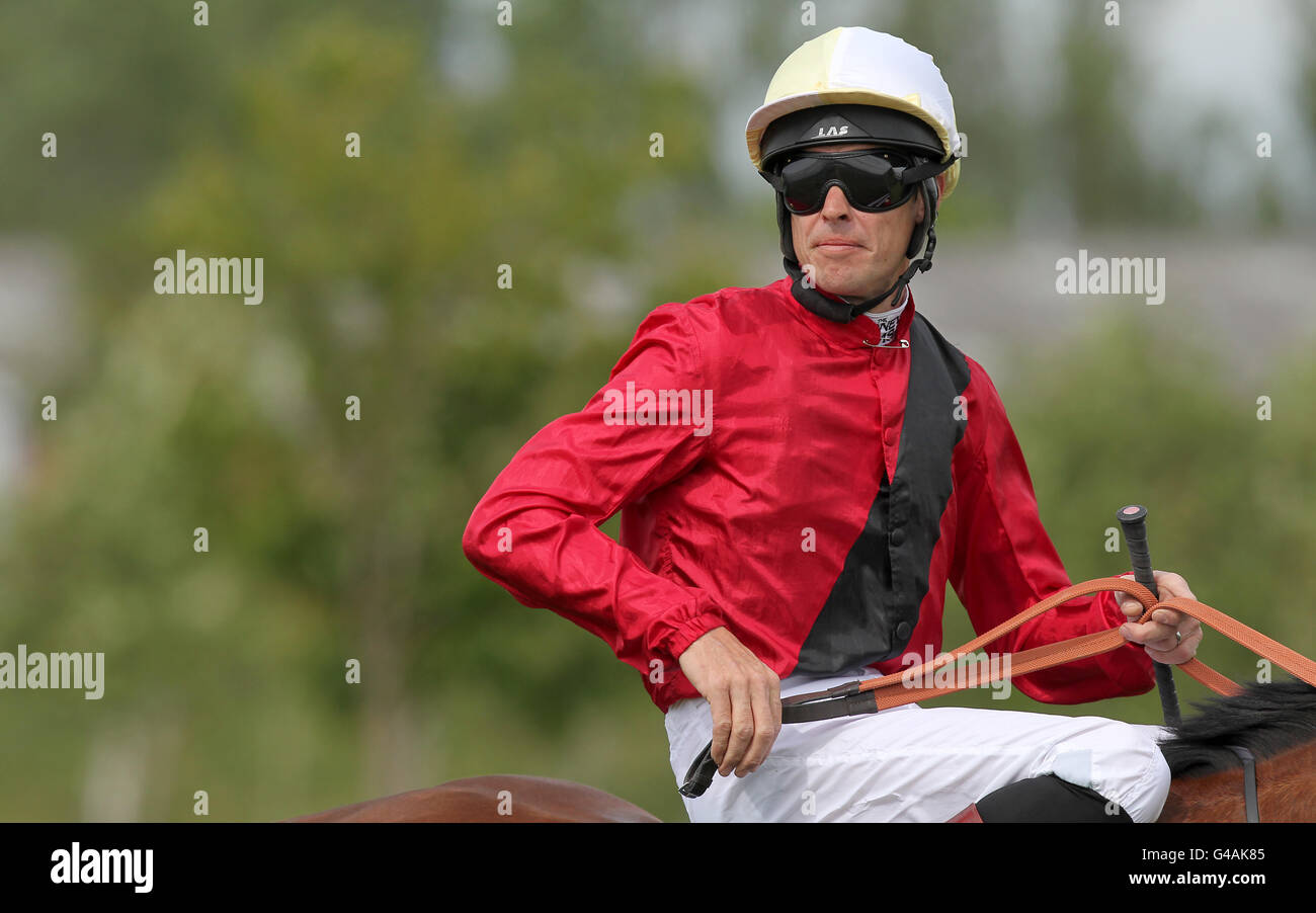 Les courses de chevaux - portée le jour de la course de bienfaisance - Newbury Banque D'Images
