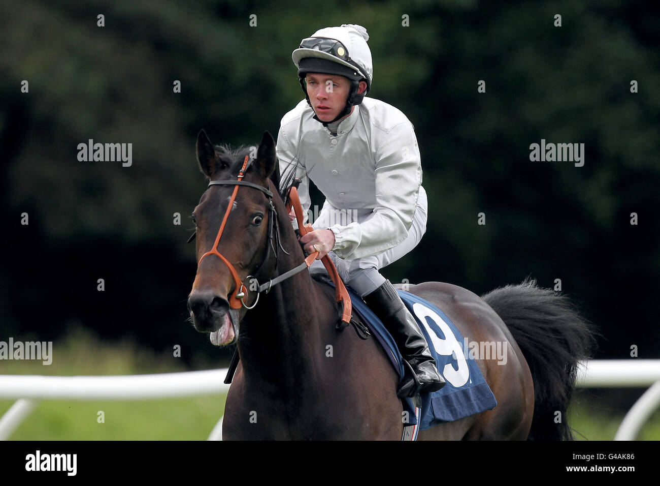 Les courses de chevaux - portée le jour de la course de bienfaisance - Newbury Banque D'Images