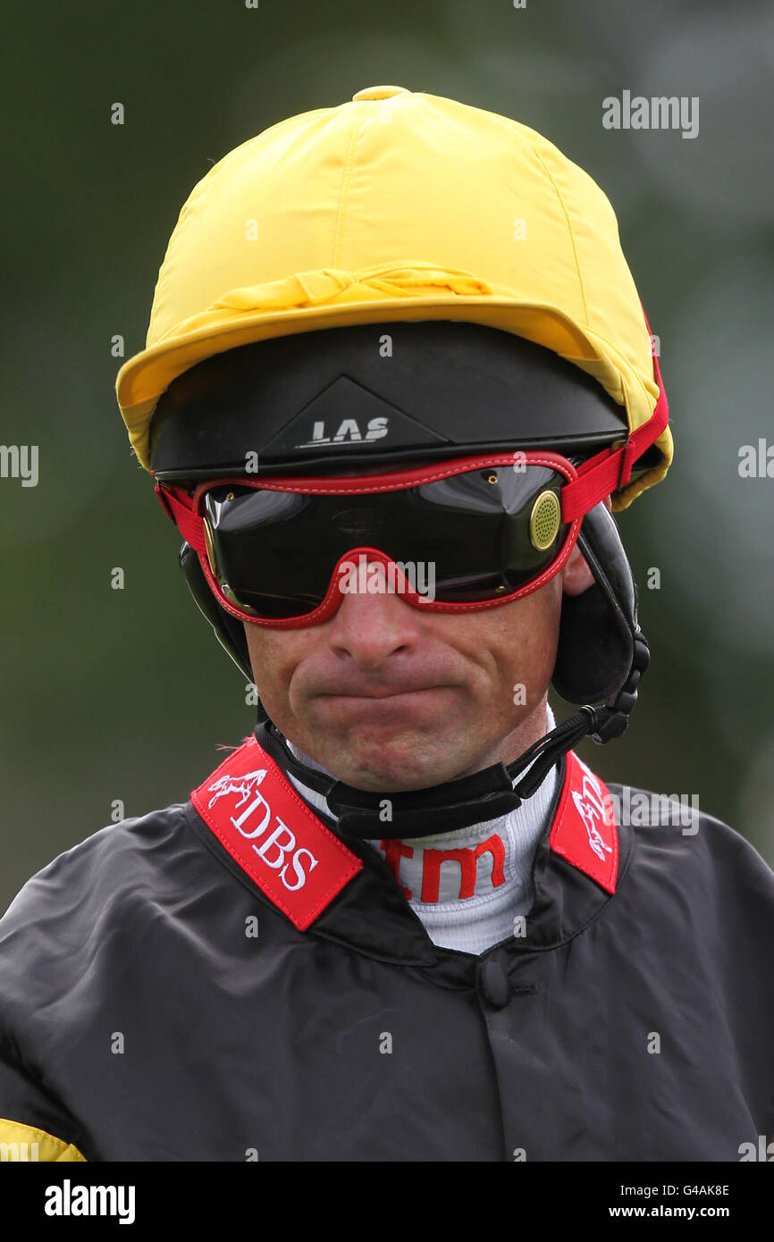Les courses de chevaux - portée le jour de la course de bienfaisance - Newbury Banque D'Images