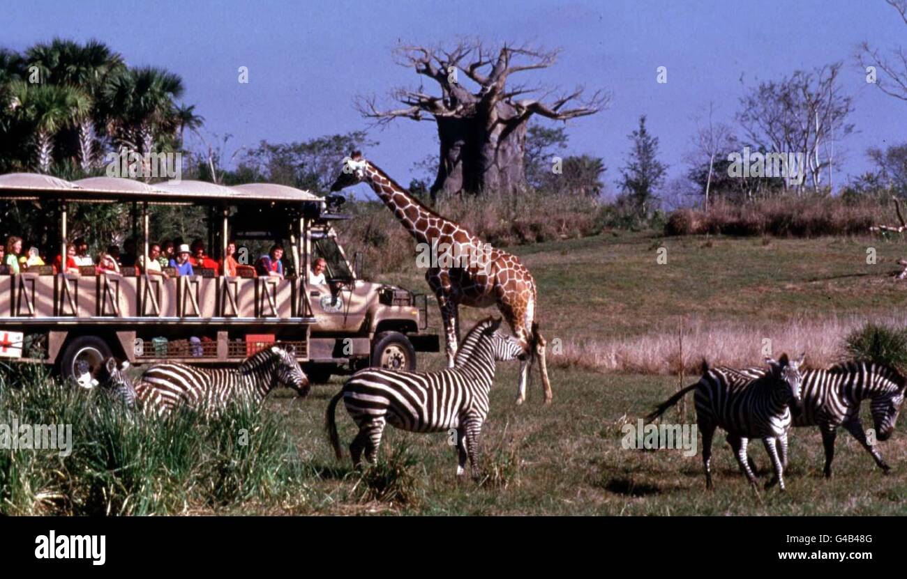 Le Kilimanjaro Safari, en Afrique, au nouveau Animal Kingdom, qui a été officiellement ouvert aujourd'hui (mardi), lors d'une cérémonie d'inauguration lancée par Michael Eiser et Roy Disney à Walt Disney World, Floride, États-Unis. Banque D'Images