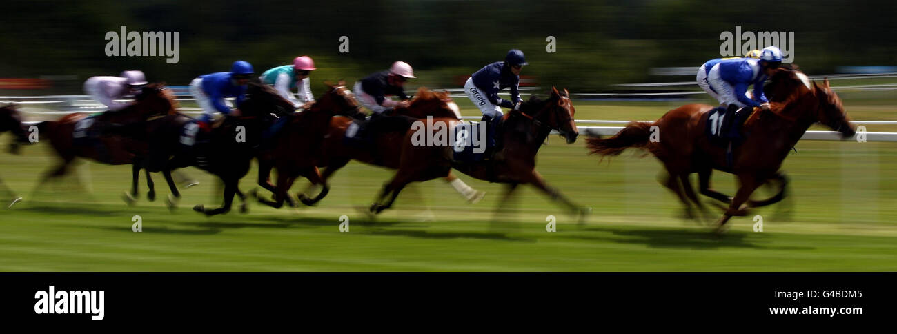 Misty Isles criées par Kieren Fallon (No.8) dans le téléchargement de l'application Blue Square Maiden Fillies's Stakes pendant la Journée de la Charité SIA à l'hippodrome de Newbury. Banque D'Images