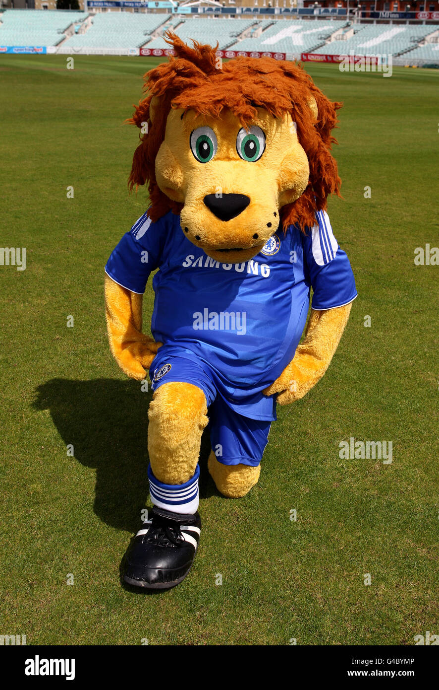 La mascotte de Chelsea Stamford le Lion pose au Kia Oval Banque D'Images