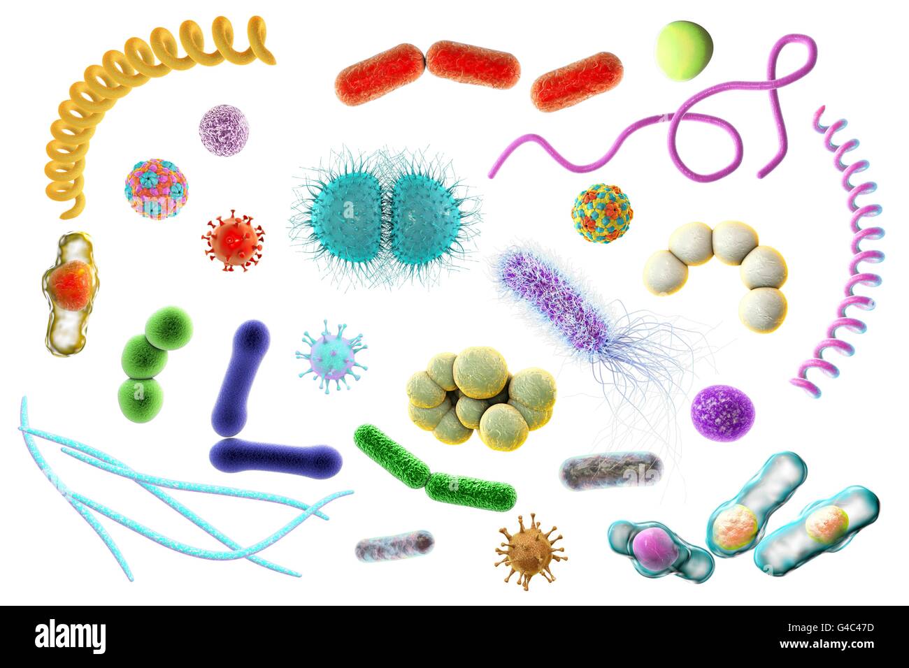 Les microbes. Illustration d'ordinateur d'un mélange contenant des microorganismes (bactéries et virus de types différents. Banque D'Images