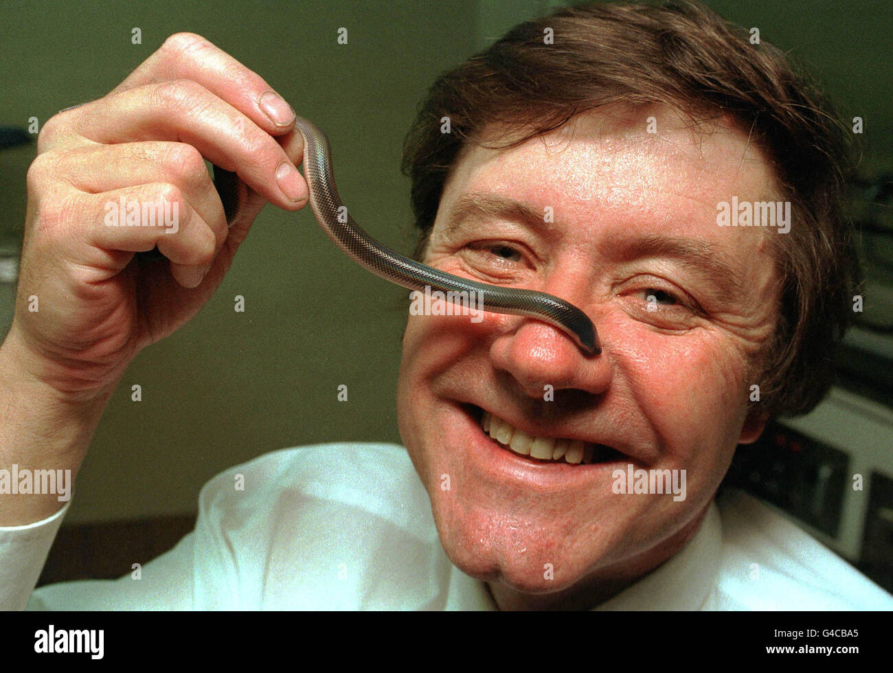 1 serpents Animaux Banque D'Images