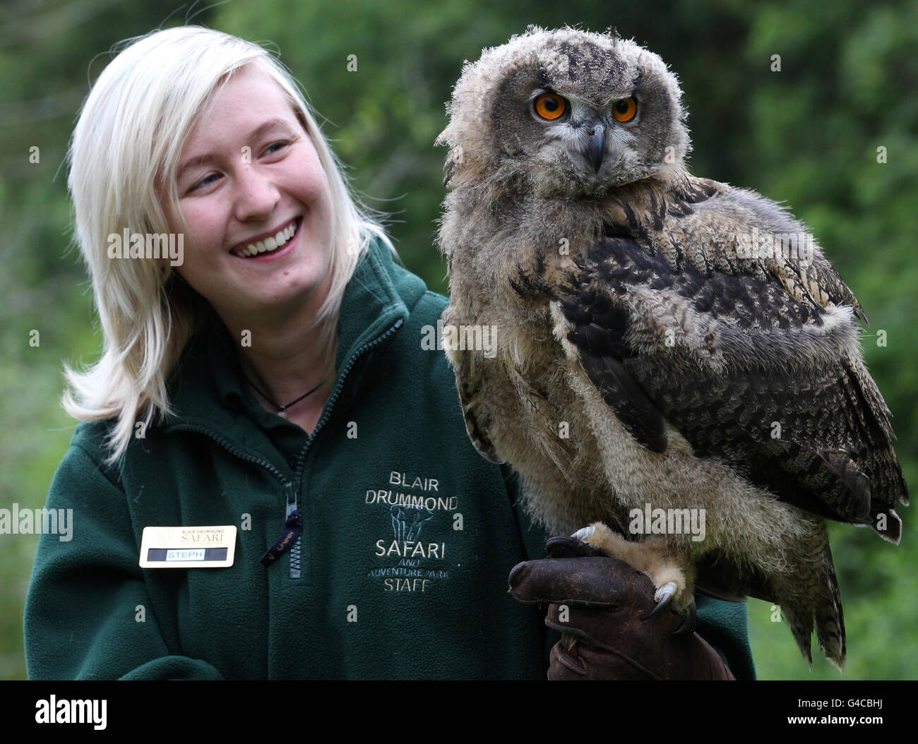 Le gardien d'animaux Steph Green avec Gloria, un poussin de 11 semaines de hibou de l'aigle, au parc de safari Blair Drummond près de Stirling. Banque D'Images
