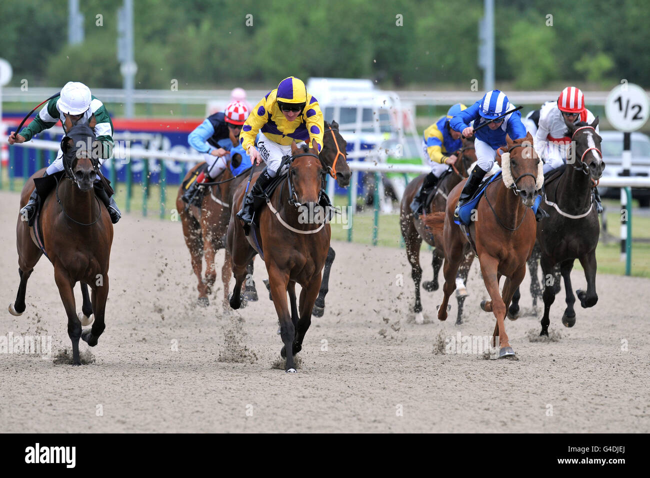 Les courses de chevaux - Wolverhampton Racecourse - 32 emplacements pour Handicap Banque D'Images