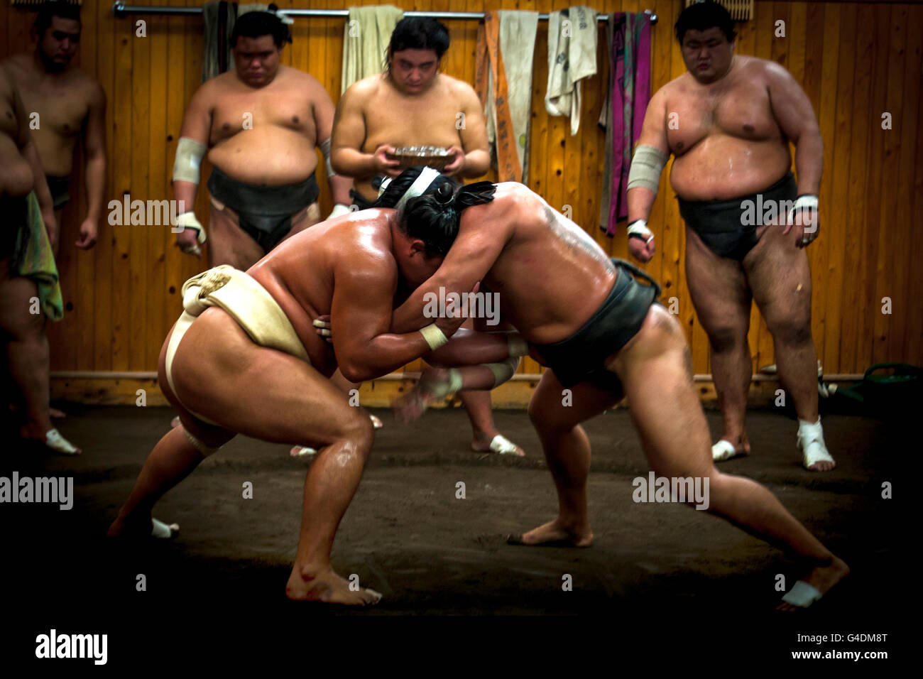 Lutteur de Sumo, Tokyo Japon Banque D'Images