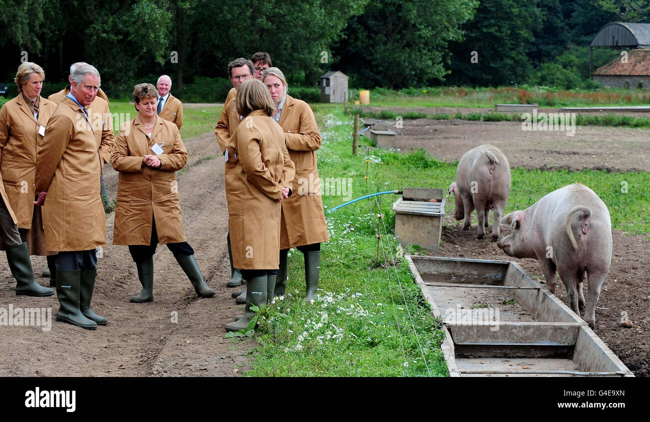 Prince Charles lors d'une visite à la ferme porcin biologique de Bunkers Hill, King's Lynn, Norfolk. Banque D'Images