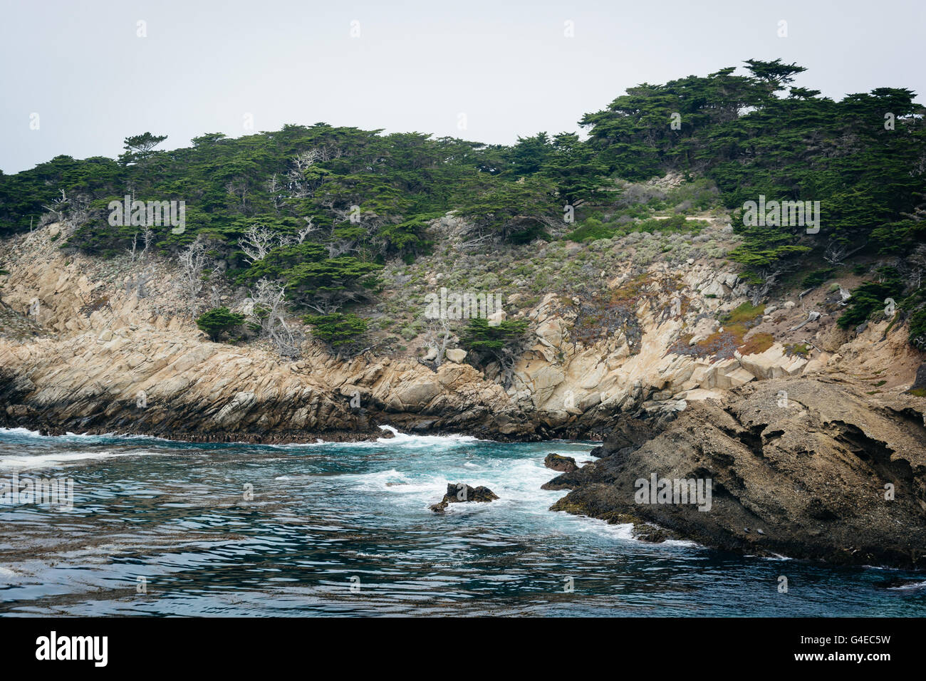 Vue sur la côte rocheuse à l'état de Point Lobos Parc naturel, dans la région de Carmel, en Californie. Banque D'Images