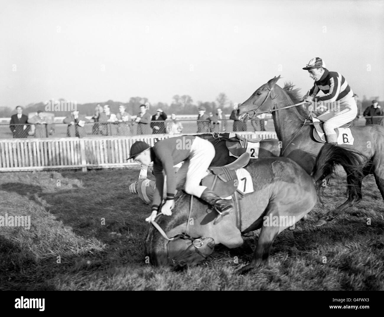 Horse Racing - Handicap Wimbledon - Kempton Park Racecourse Banque D'Images