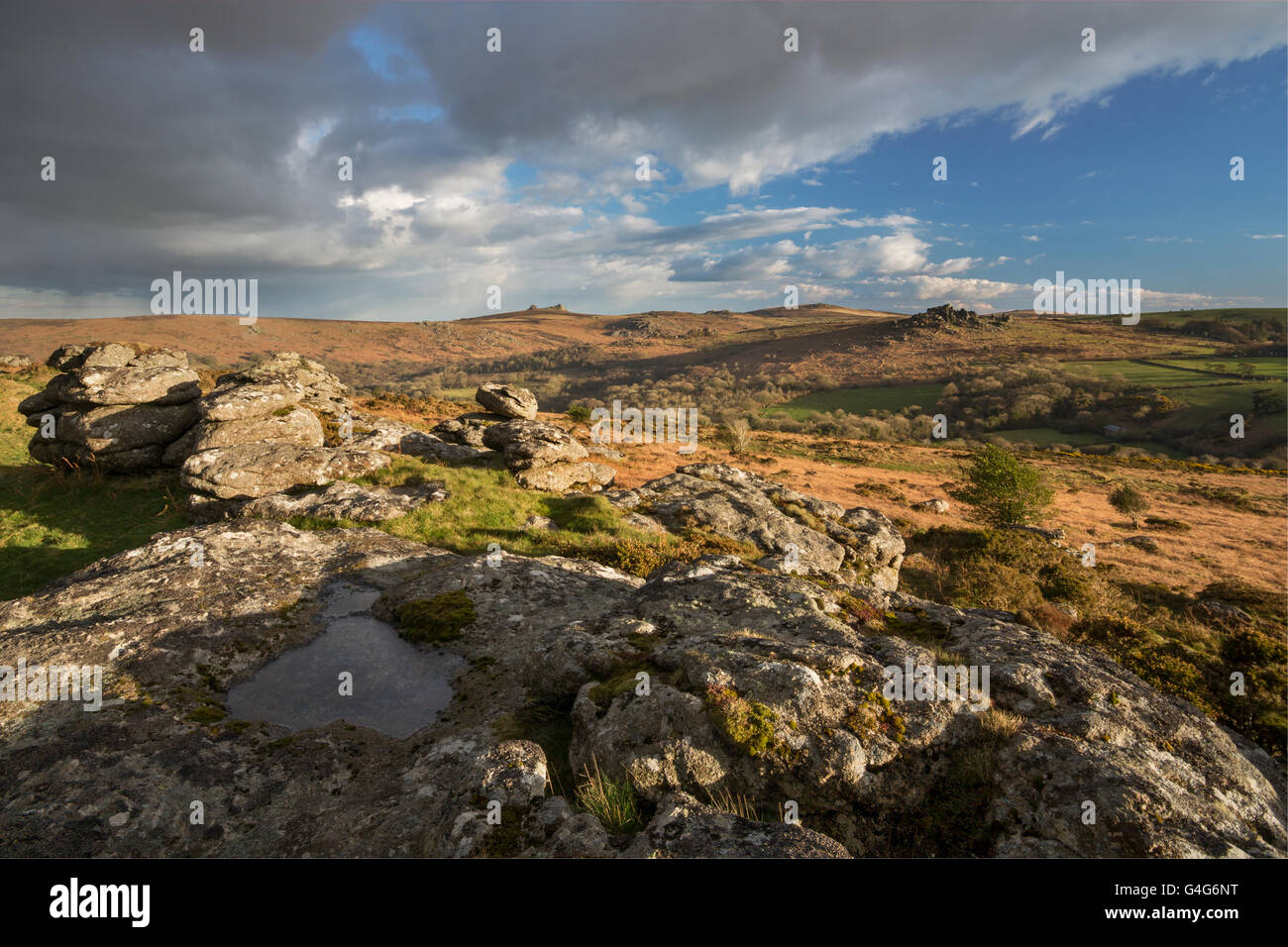 Vue de Hayne bas sur le Dartmoor vers Hound Tor, Tor Rippon et Haytor Banque D'Images