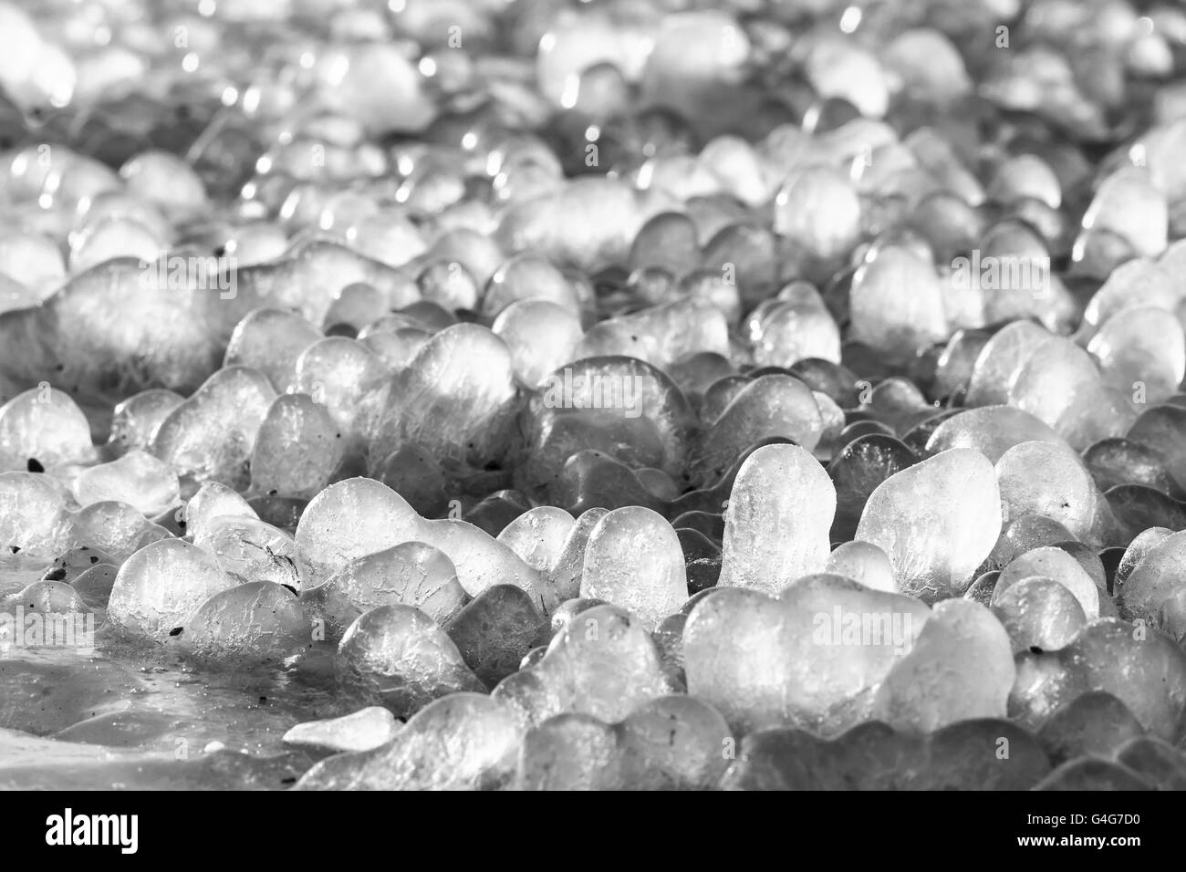 Peu de glaçons ronde formé autour de feuilles d'herbe sur le terrain Banque D'Images