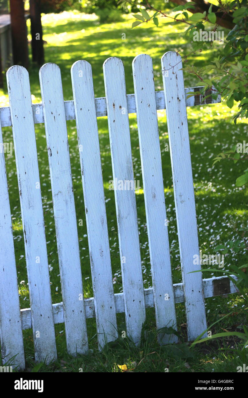 Weathered barrière en bois blanc est ouvert, l'Irlande. Banque D'Images