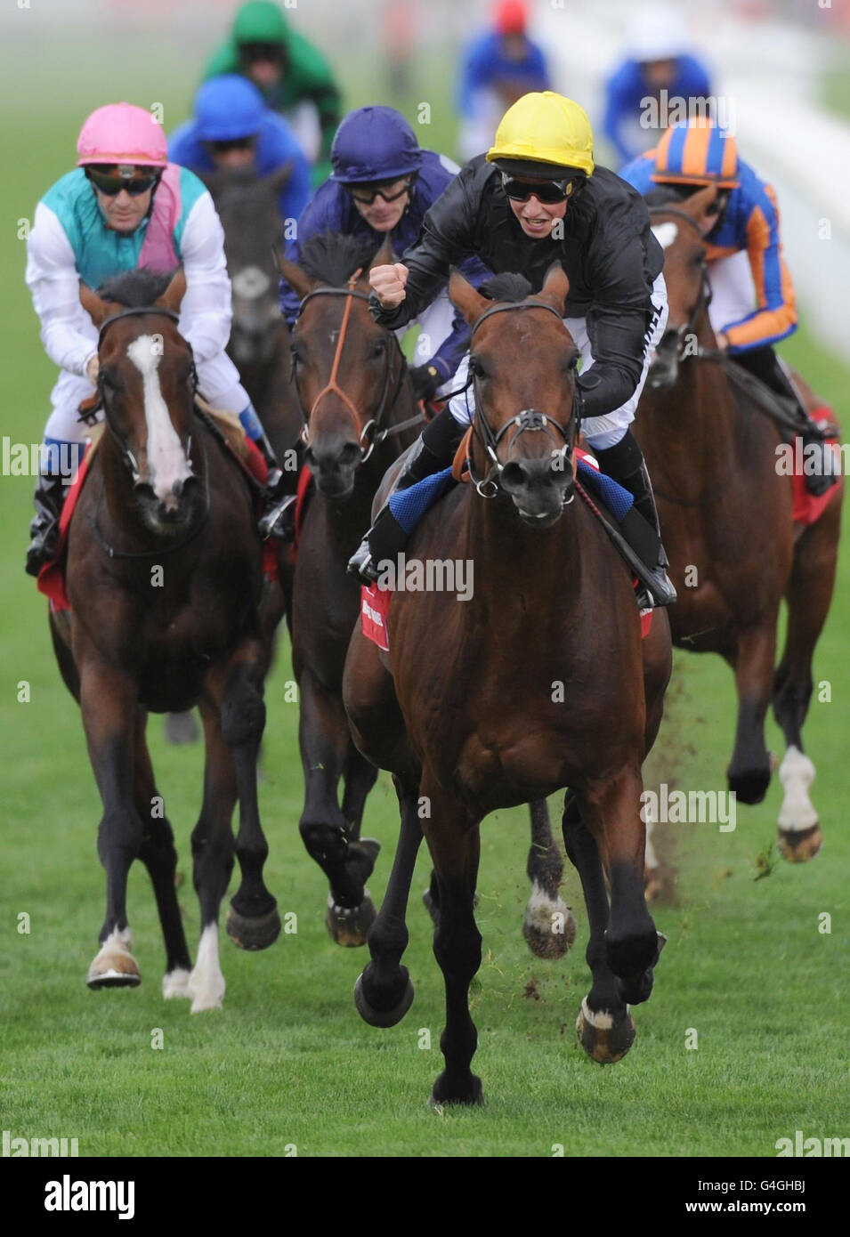 Masqué Marvel et William Buick (casquette jaune) remportent les piquets Ladbrokes St. Leger lors de la journée Ladbrokes St. Ledger à Doncaster Racecourse, Doncaster. Banque D'Images