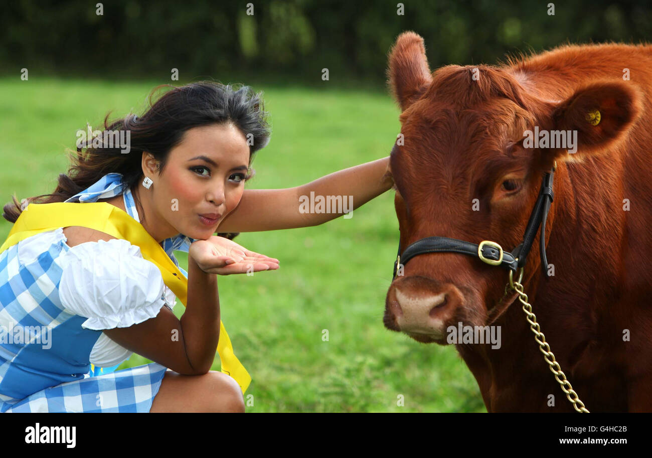 Miss Berkshire, Areerat Chorsanthiah, 22 ans, avec la vache Dexter Lady Munchington pour promouvoir le tout premier concours national Dexter de Grande-Bretagne au Royal County of Berkshire Show qui se déroule du 17 au 18 septembre au Newbury Showground, Berkshire. Banque D'Images