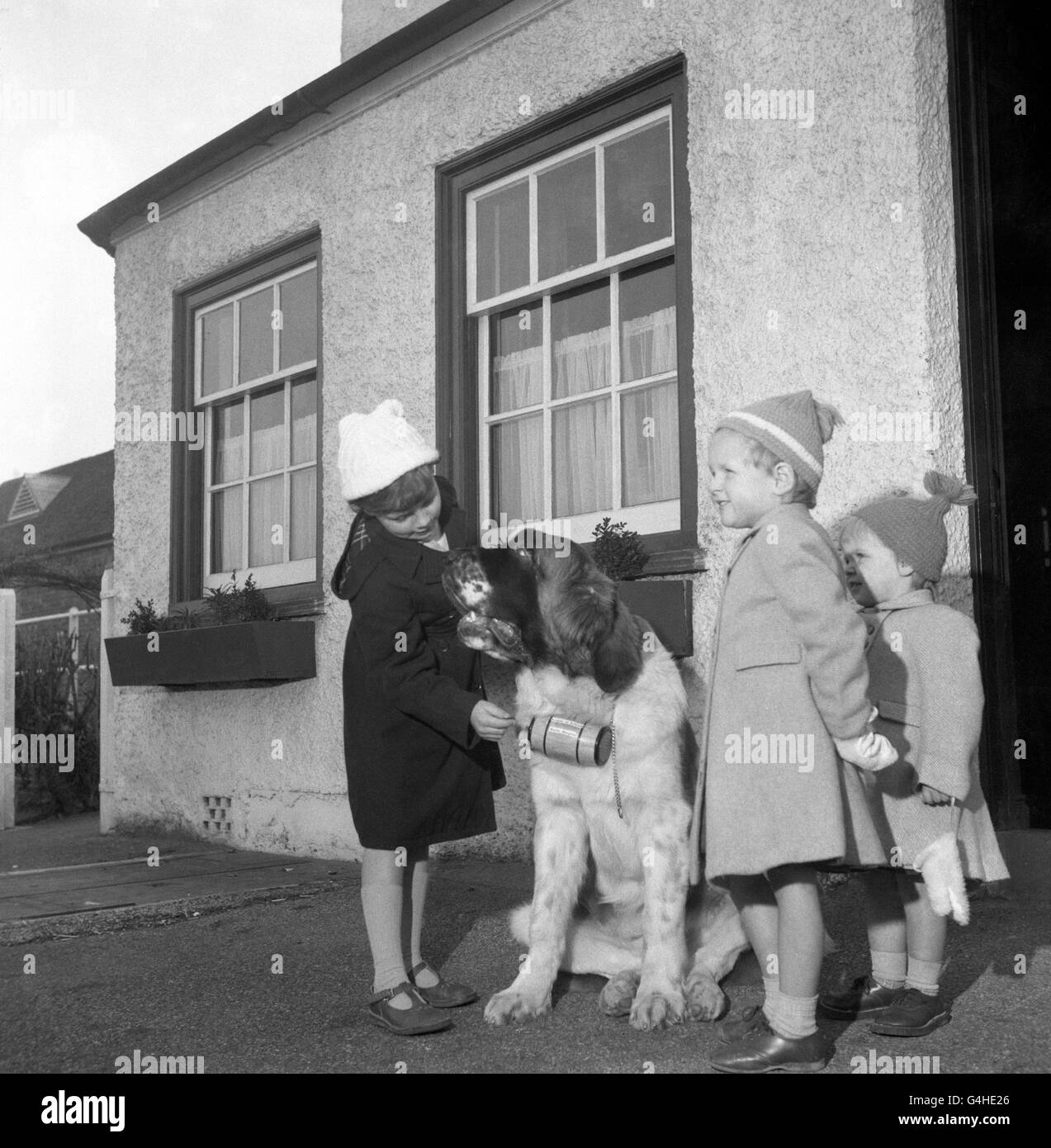 PA NEWS PHOTO 27/11/59 GARTH, THE ST.BERNARD CHIEN DEVANT L'HÔTEL DE CHEMIN DE FER À BATTLE, SUSSEX COLLECTE DE L'ARGENT POUR LA LIGUE DES AMIS DE BATTLE HOSPITAL.LA PHOTO MONTRE UNE JEUNE FILLE METTANT UN PENNY DANS LE CANON DE BRANDY AUTOUR DE SON COU Banque D'Images