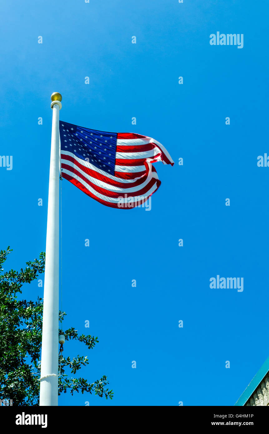 Brandissant un drapeau américain dans la brise Banque D'Images