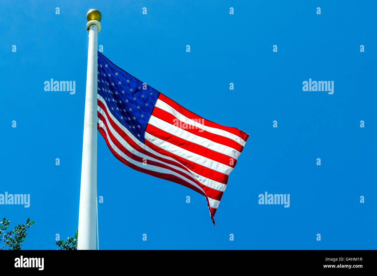 Brandissant un drapeau américain dans la brise Banque D'Images