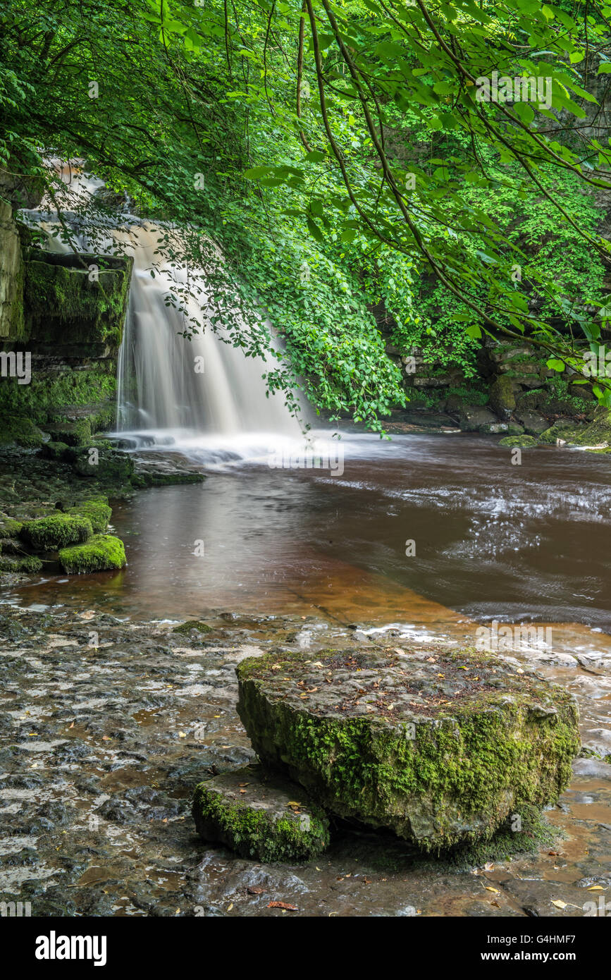 Cascade de West Burton, également connu sous le nom de chaudron Falls, dans le Yorkshire Dales National Park au nord de l'Angleterre, Royaume-Uni Banque D'Images