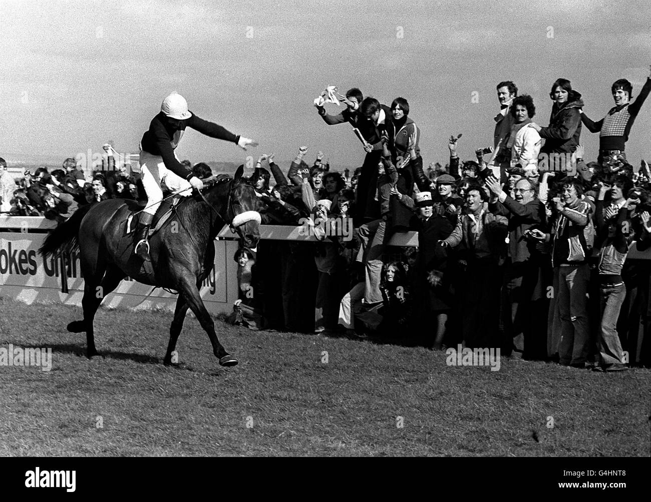 La foule devient sauvage avec joie tandis que Red Rum, criblé par Tommy Stack, se rend à la maison à Aintree pour faire l'histoire de la chasse nationale en tant que vainqueur du Grand National Steeplechase pour une troisième fois record. Banque D'Images