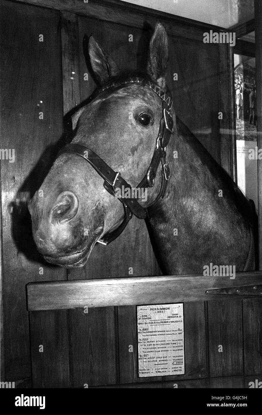 The Nags Head/Museum Banque D'Images