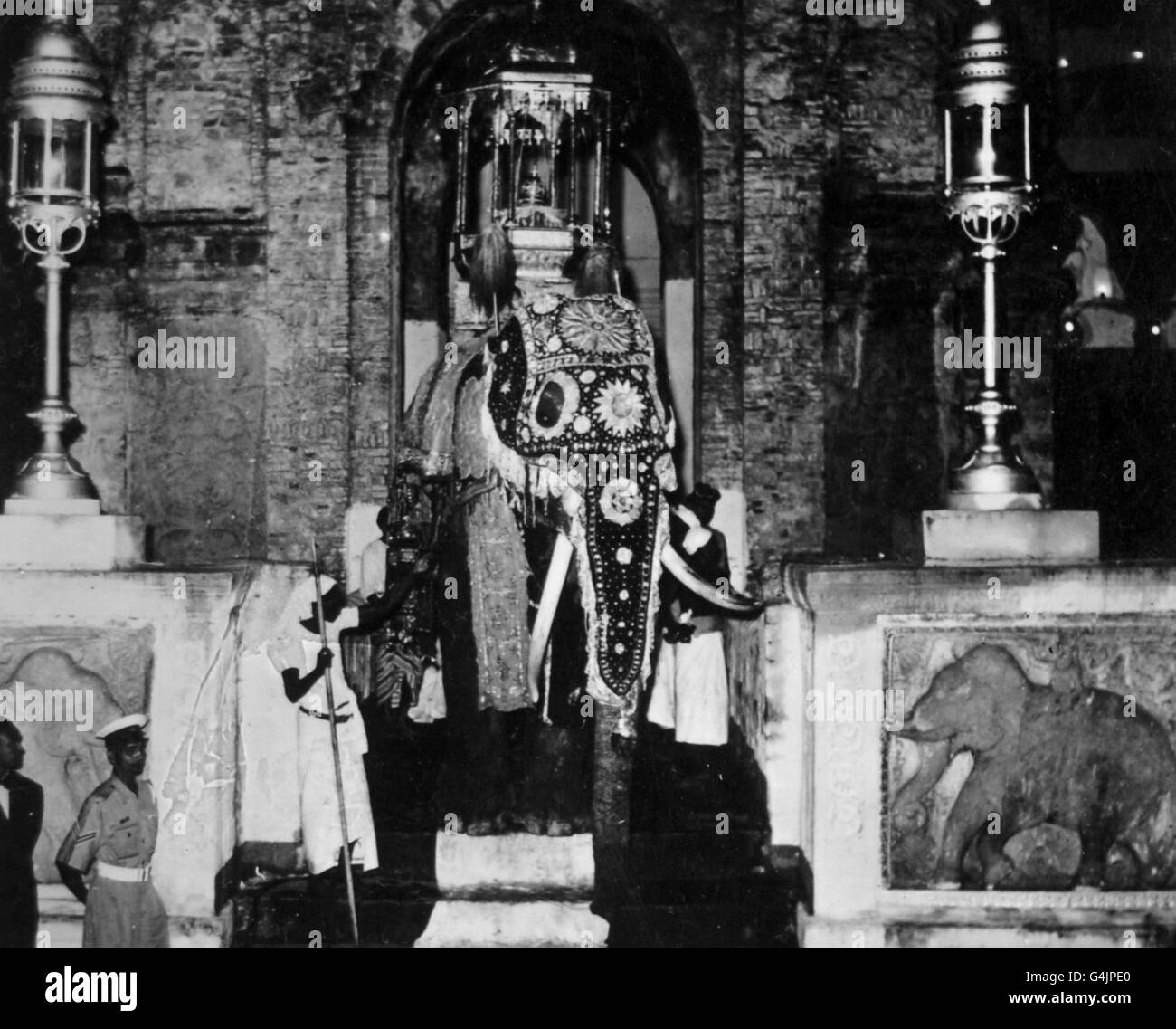 **scanné de contact basse-résolution** UN éléphant sacré richement couvert qui porte des os et d'autres reliques religieuses dans l'howdah d'or sur son dos en quittant le Temple de la dent à Kandy. Il participe à l'élection royale en l'honneur de la visite de la Reine. Banque D'Images