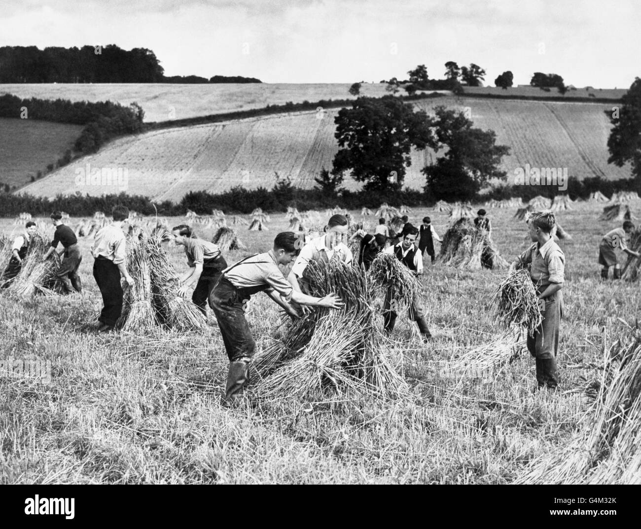 Des garçons de Battersea à Londres aident à récolter des champs dans une ferme de Buckinghamshire pendant la Seconde Guerre mondiale sous la supervision du révérend J. A. Thompson du Youth Club. Banque D'Images