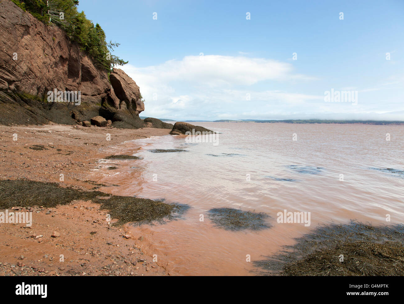 La couleur brune plage à Hopewell Rocks Parc géologique des marées océaniques (Nouveau-Brunswick, Canada). Banque D'Images