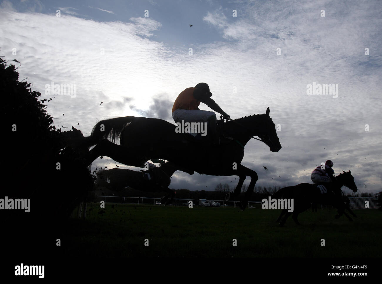 Identimin, monté par Wayne Kavanagh, lors de la course de haies « National Hunt » des novices de l'EBF Mares, lors du festival d'hiver de Newbury Day of the Sportingbet à l'hippodrome de Newbury, Berkshire. Banque D'Images