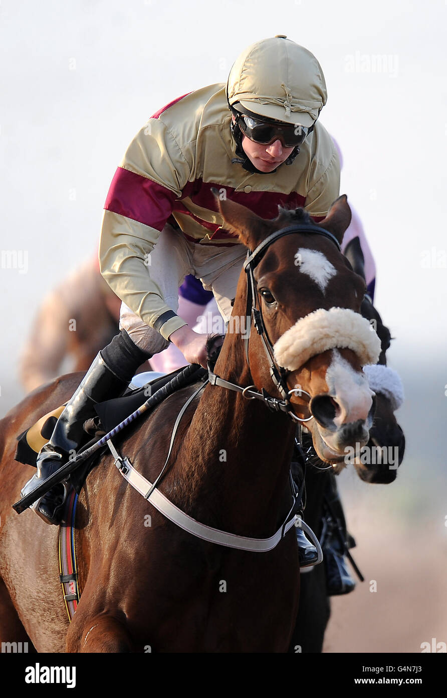 Courses hippiques - Hippodrome de Southwell.Jockey James Sullivan manèges Blue Sky étonnant dans les piquets de handicap SIS Live Banque D'Images