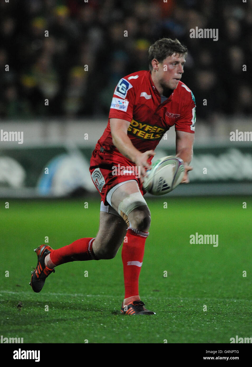 Rugby Union - Heineken Cup - Pool 1 - Northampton Saints v Scarlets - Franklin's Gardens Banque D'Images