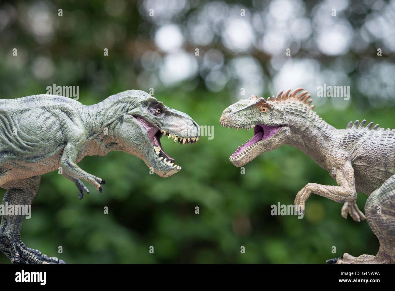 L'allosaurus tyrannosaurus et toy en face d'arbres Banque D'Images