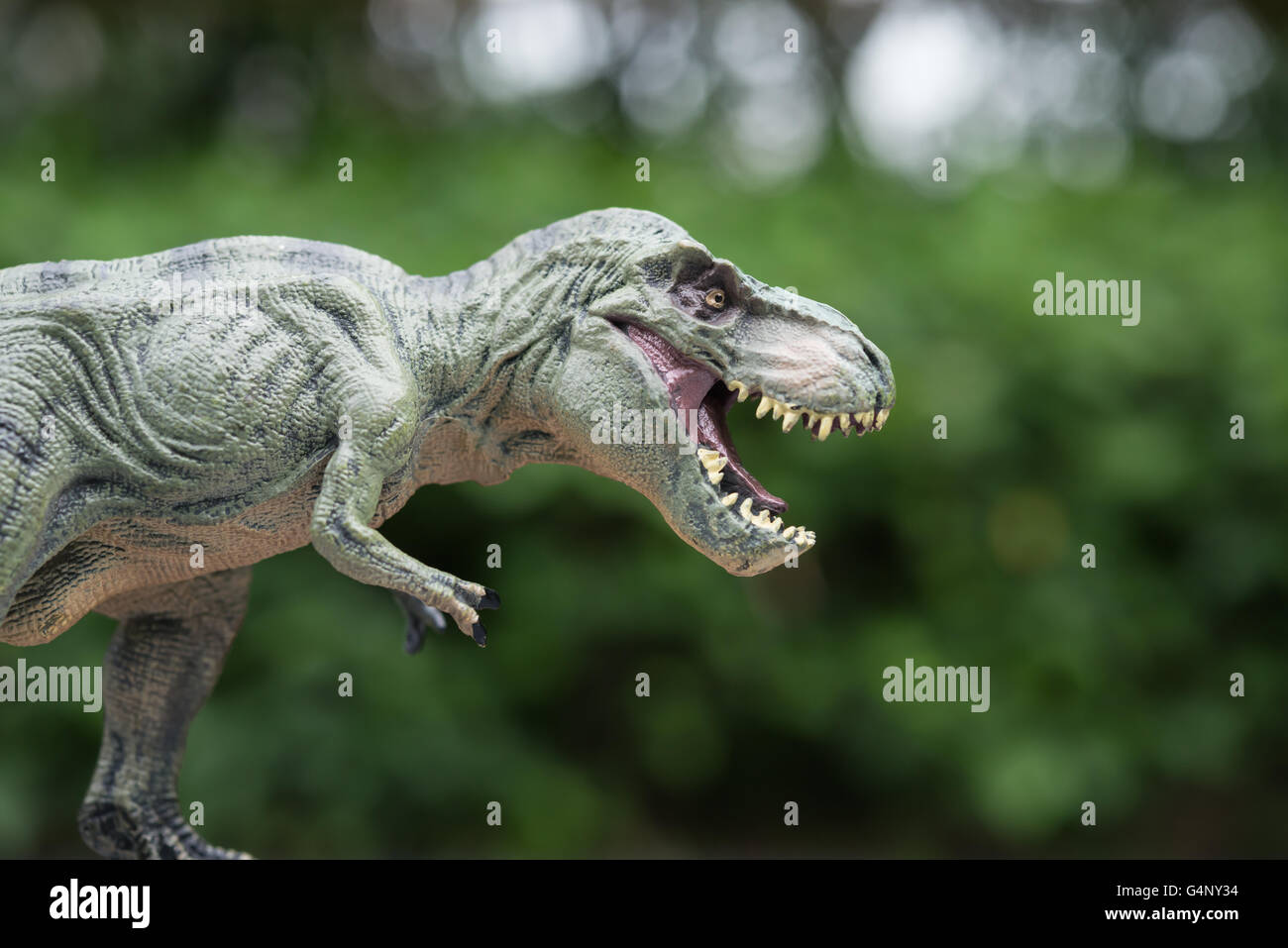Tyrannosaurus toy en face d'arbres Banque D'Images