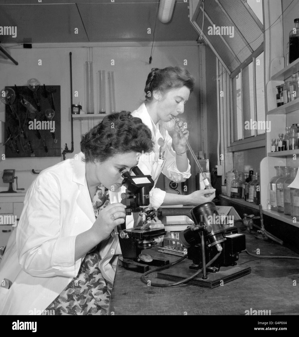 La technicienne de laboratoire Beverley Ridgwell (à gauche) examine de ...
