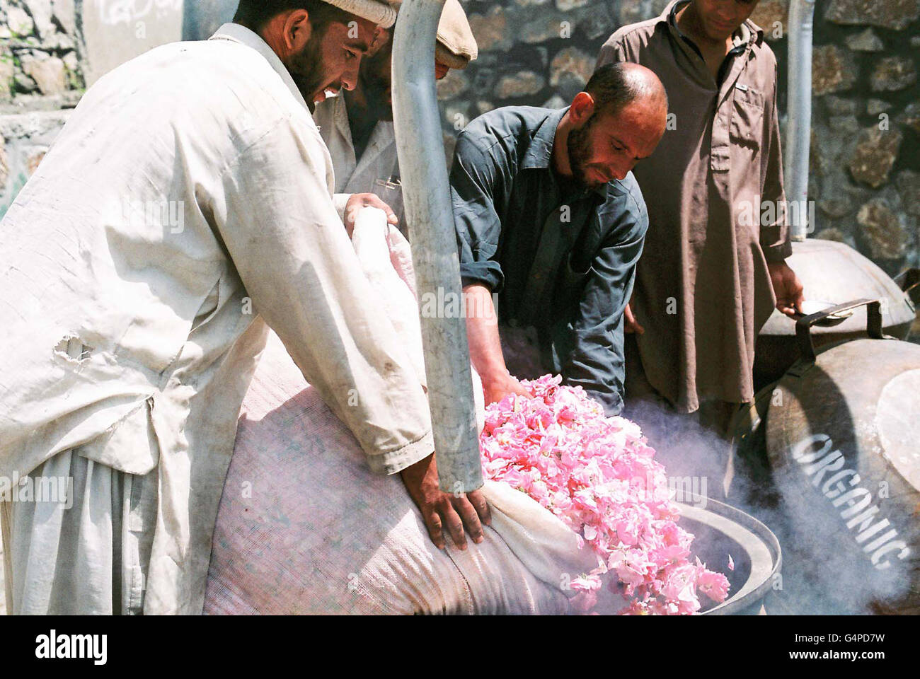 ARCHIVE - Une image d'archive en date du 26 avril 2008 indique les agriculteurs de l'Est de l'Afghani Dar tal-i Nur harvasting à une rose et la distillation en Afghanistan. Il fait partie d'un projet de remplacement de l'opium, qui a commencé à partir de la Welthungerhilfe (lt. L'aide de la faim dans le monde) en 2004 et a longtemps été financé par l'état de l'organisation de l'aide au développement de la GIZ. Depuis 2015, elle est en grande partie en mains afghanes. De roses huile de rose biologique hautement rentables est extrait. La plupart des clients sont l'achat de l'Allemagne. Photo : Christine-Felice Roehrs/dpa Banque D'Images