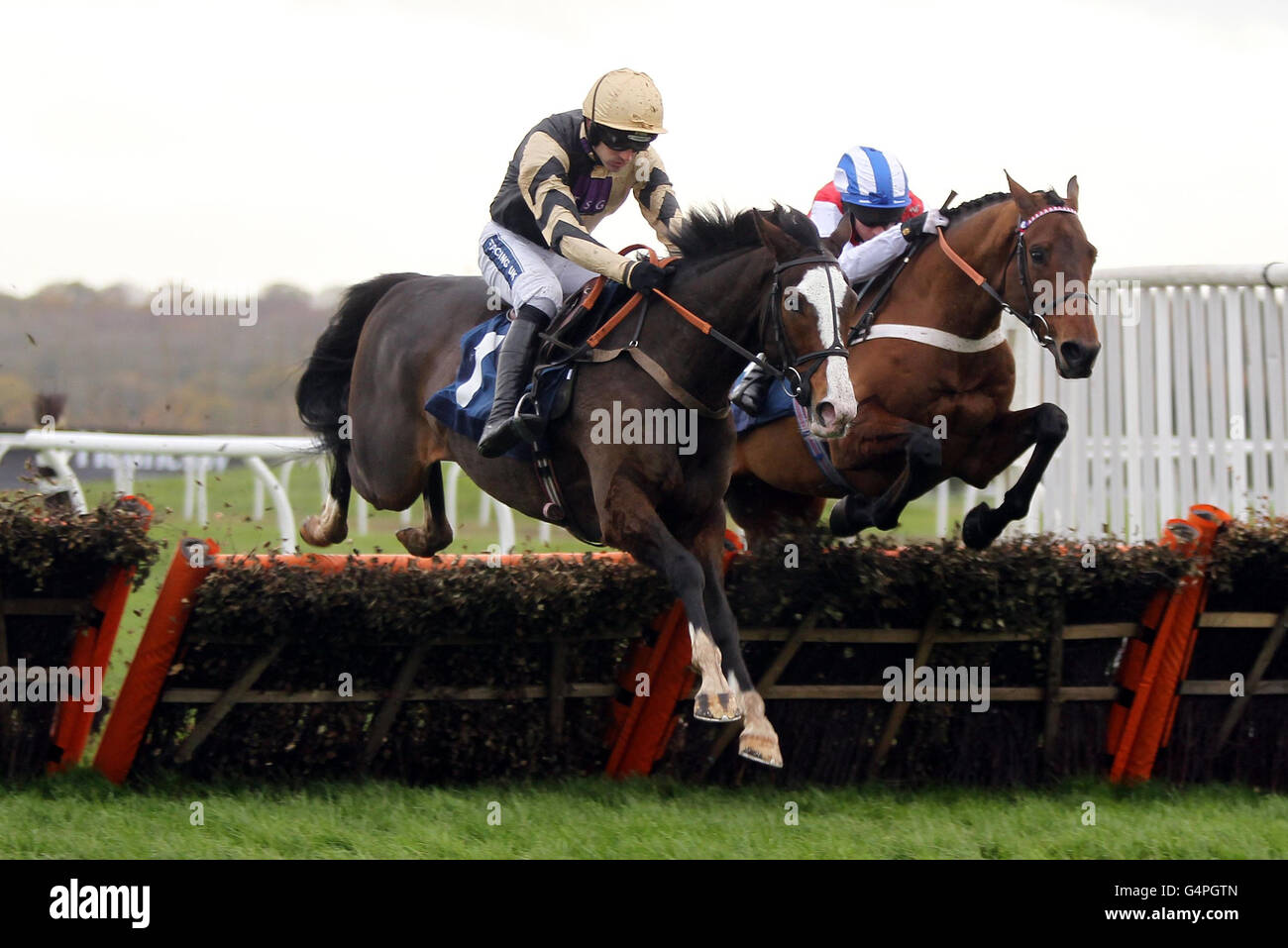 Les courses de chevaux - Le Sportingbet Winter Festival - Hennessy Gold Cup Day - Newbury Banque D'Images