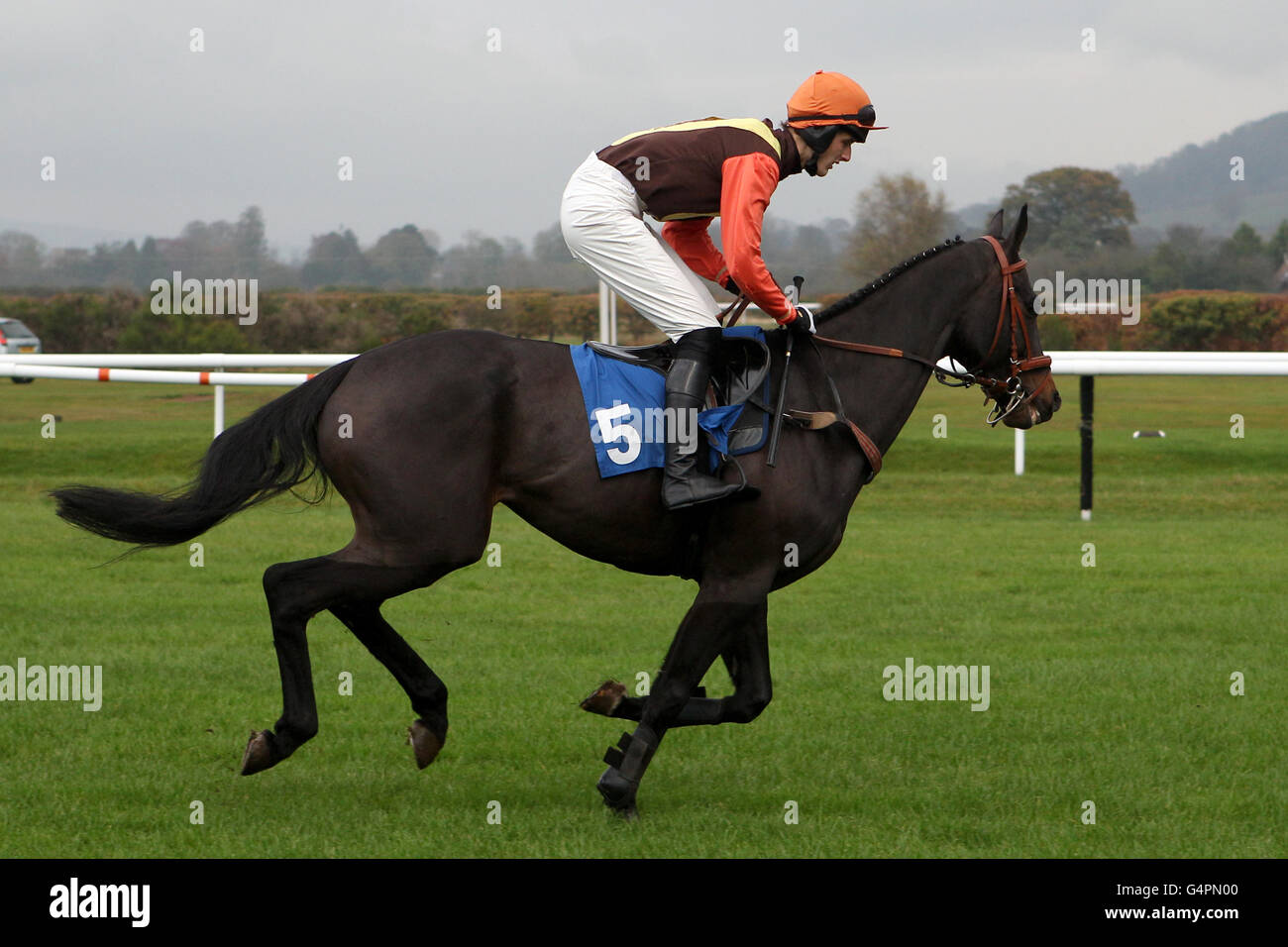 Les courses de chevaux - Ludlow Hippodrome Banque D'Images