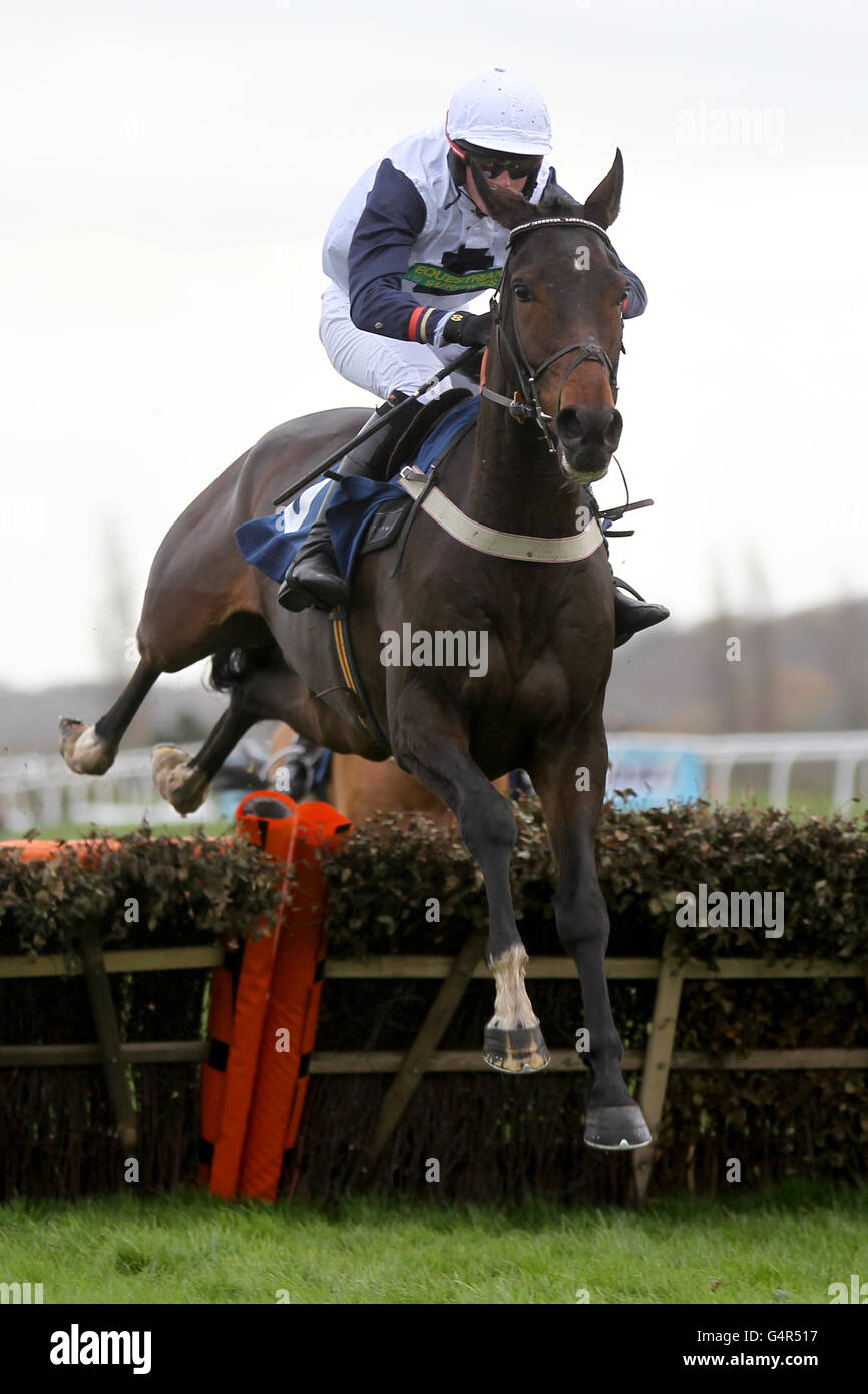 Carriglea Wood monté par Samuel Welton pendant les novices du Sportingbet Course de haies Banque D'Images