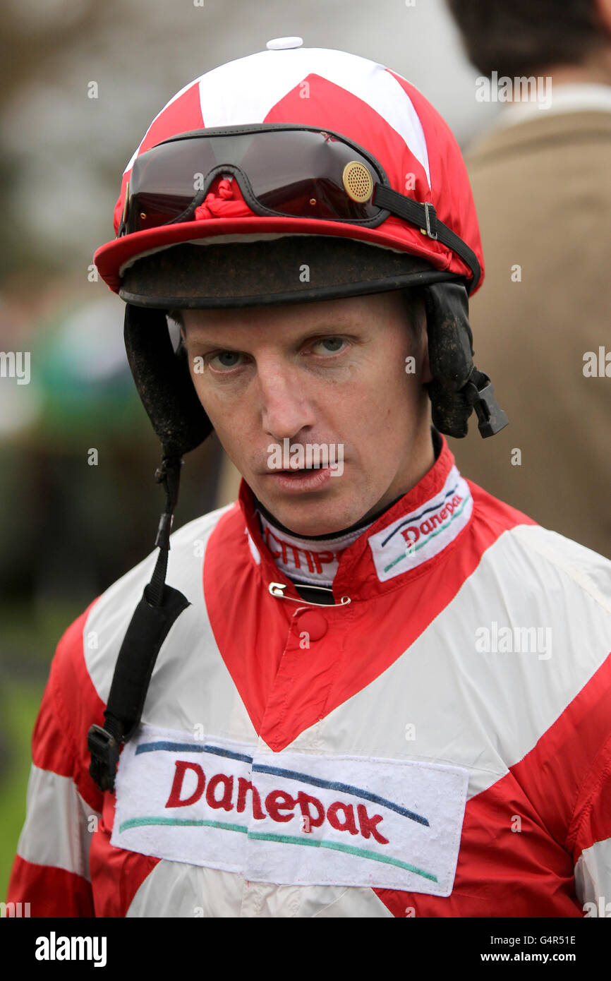 Courses hippiques - Festival d'hiver de Sportingbet - Hennessy Gold Cup Day - Hippodrome de Newbury. Noel Fehily, jockey Banque D'Images