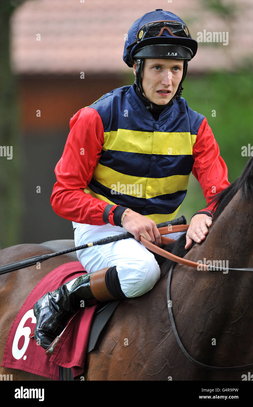 Les courses de chevaux - Verre fois Raceday - Haydock Park Banque D'Images