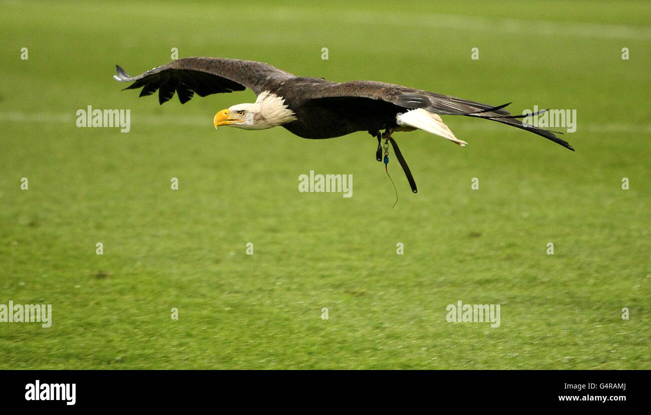 Soccer - npower Football League Championship - Crystal Palace v Birmingham City - Selhurst Park Banque D'Images