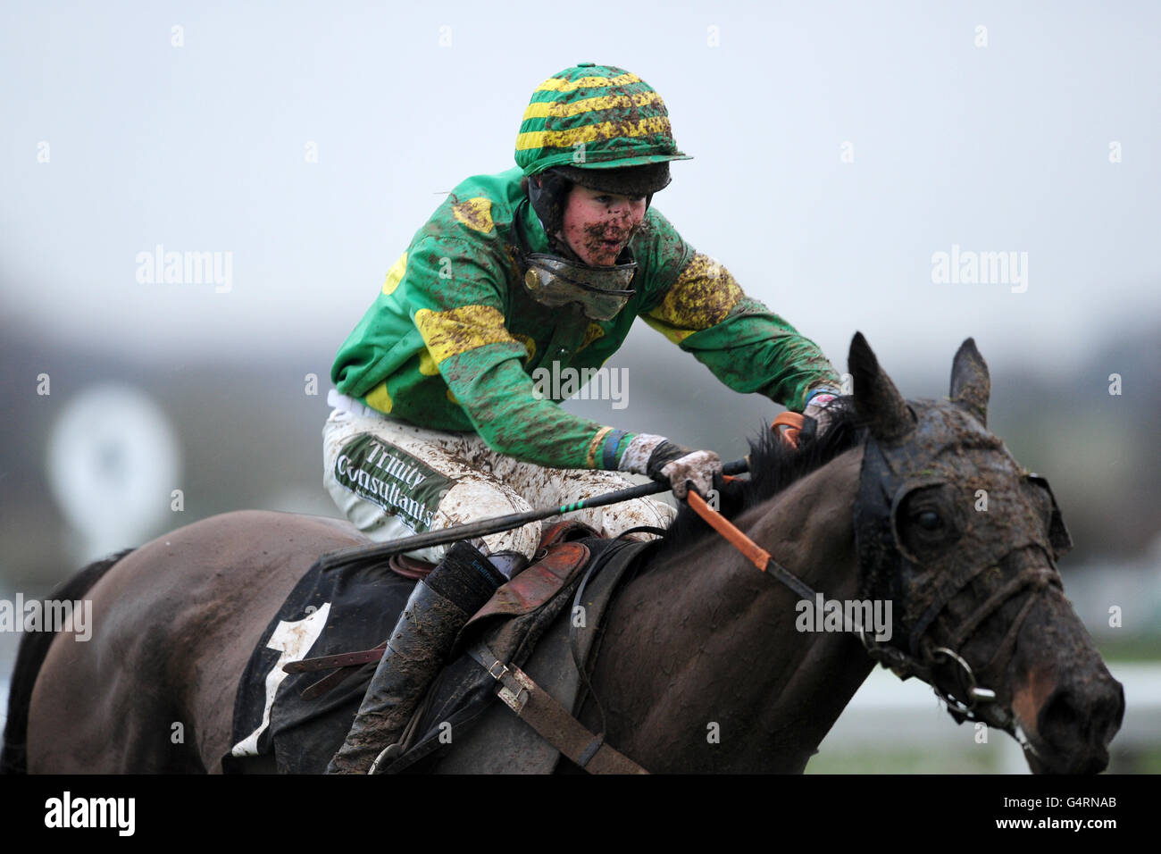 Pas de femme pas de Cry monté par Brendan Powell pendant le Suivez-nous sur Twitter @starsportbet bet handicap course Banque D'Images