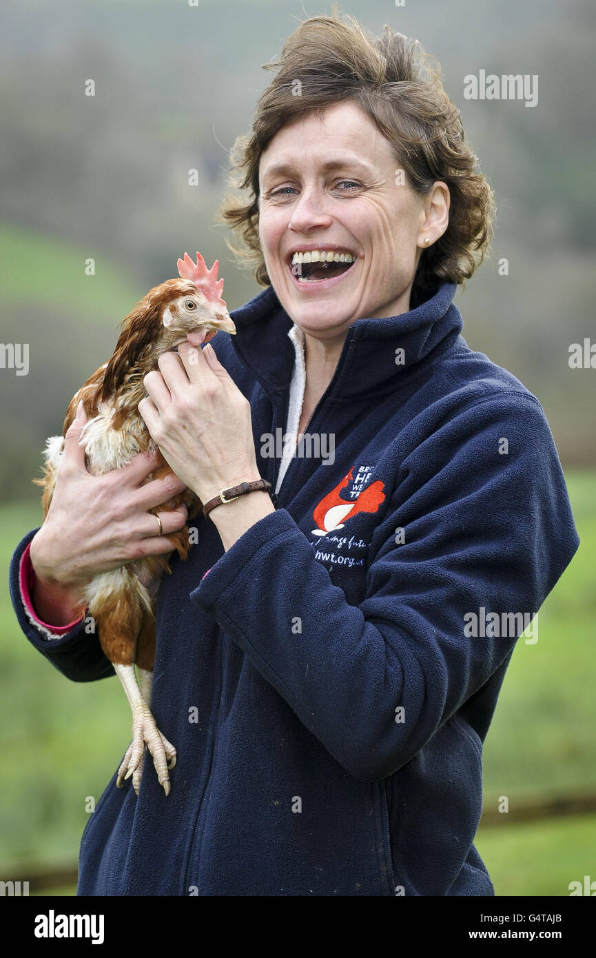 Jane Howorth, fondatrice de la British Hen Welfare Trust, et Liberty, la dernière poule aux batteries de Grande-Bretagne, qui a été réinstallée à la retraite dans une ferme de Chulmleigh, Devon, marquant la fin d'une ère pour les poules pondeuses commerciales, a déclaré l'organisme de bienfaisance. Banque D'Images