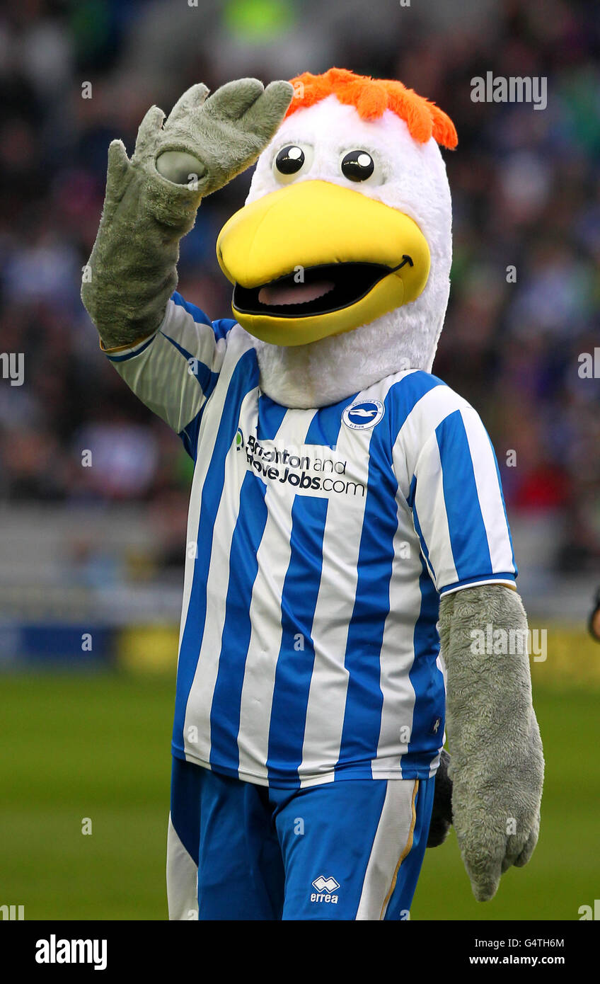 Soccer - npower Football League Championship - Brighton & Hove Albion ; v Bristol City - AMEX Stadium Banque D'Images