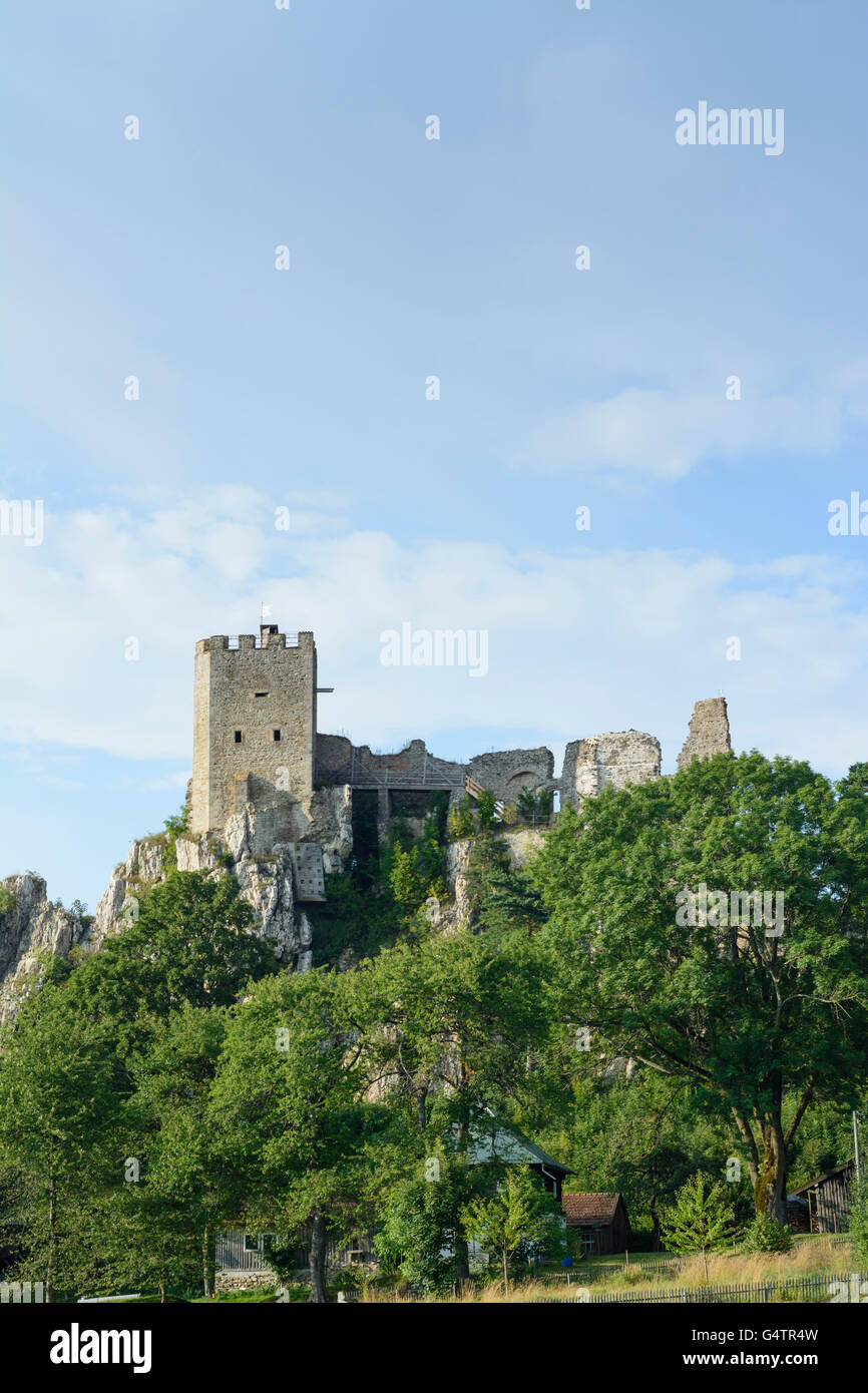 Château de Weißenstein, Regen, Allemagne, Bavière, Bayern, Niederbayern, Basse-Bavière Banque D'Images